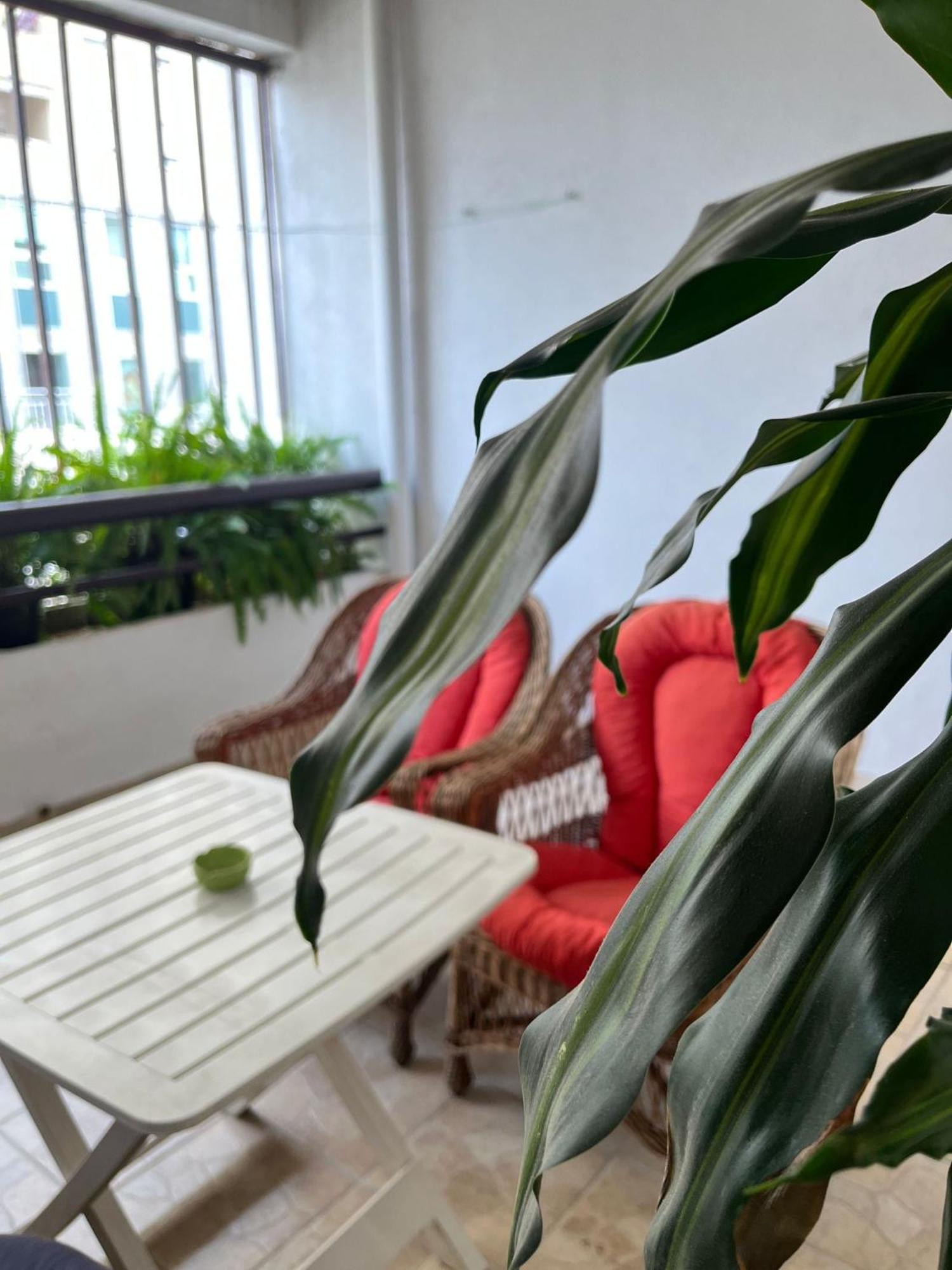 Apartment Centropolis موستار المظهر الخارجي الصورة